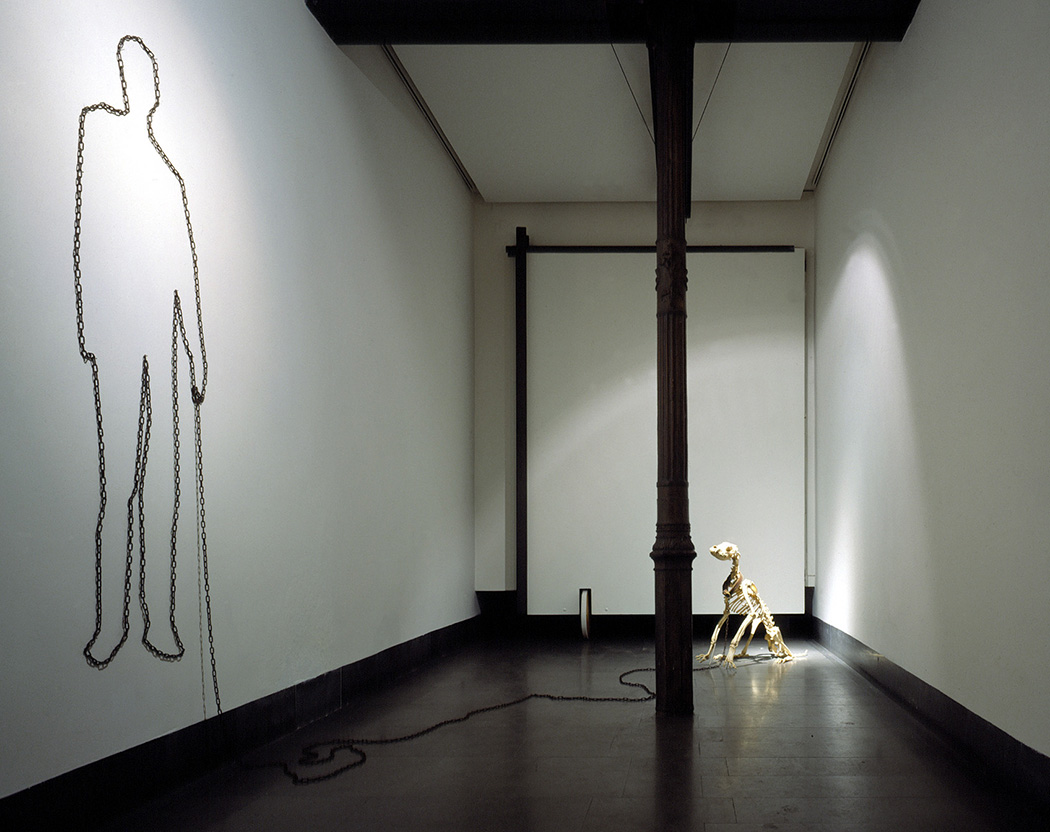 CANELO. Esqueleto de perro, cadena de hierro, Jorge Barbi